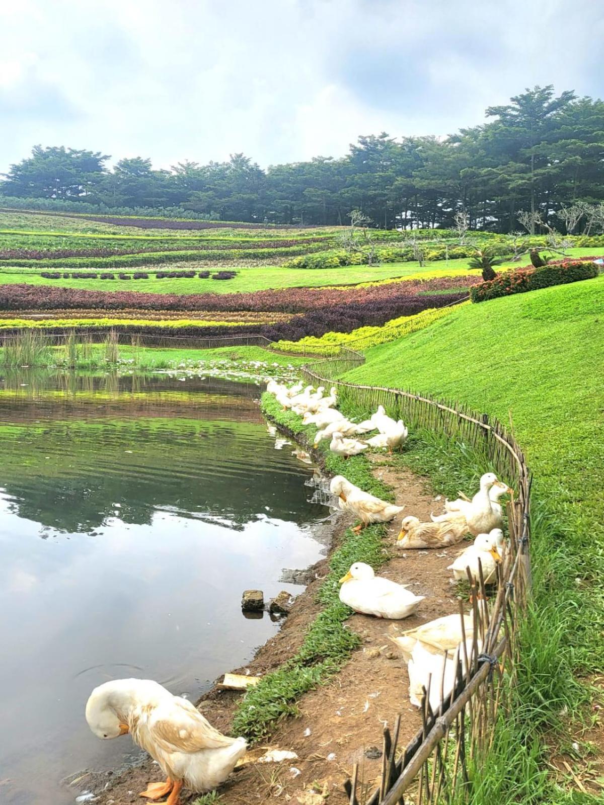 Villa Vimala Hills Semeru Bogor Exterior foto
